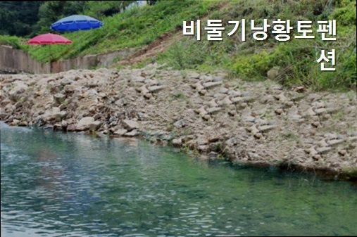 비둘기낭황토펜션 사진 4
