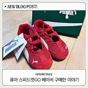 아이 봄신발 추천 | 퓨마 스피드캣고 베이비 내돈내산 후기 + 사이즈팁 (나이키 에어리프트 ....