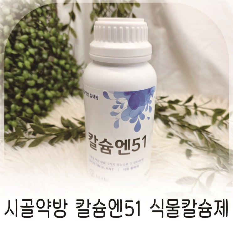  식물키우기 필수 칼슘제 시골약방 액상칼슘 추천