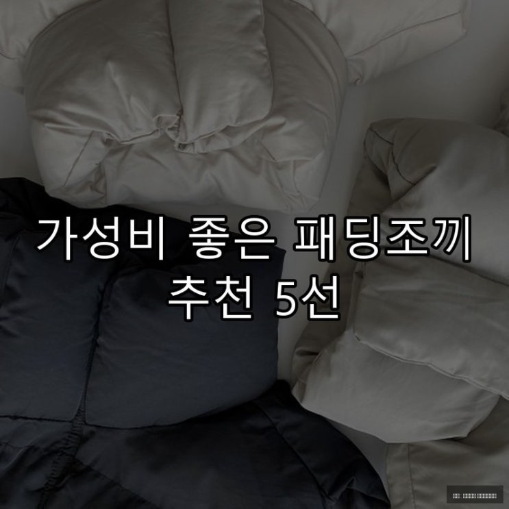 가성비 좋은 패딩조끼 추천 5선