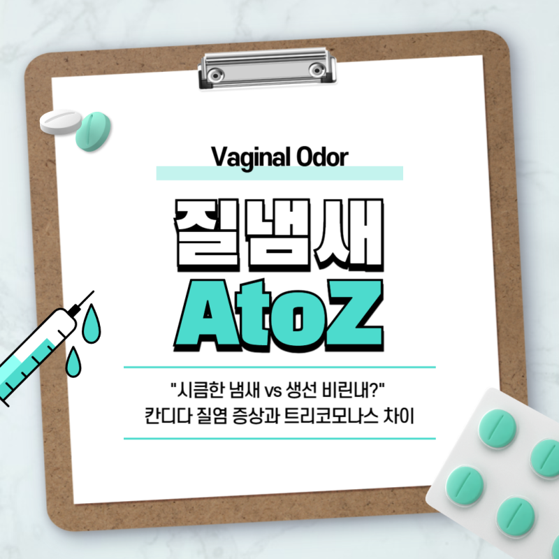 "시큼한 냄새 vs 생선 비린내?" 칸디다 질염 증상과 트리코모나스 차이