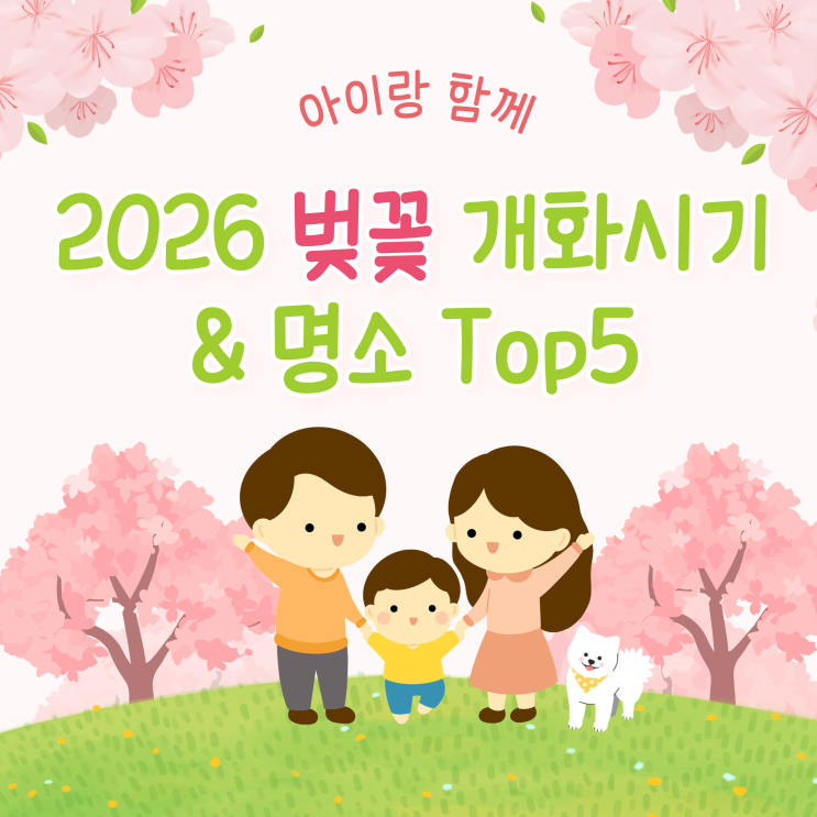  2026 벚꽃 개화시기 및 아이랑 가볼만한 벚꽃명소 Top5