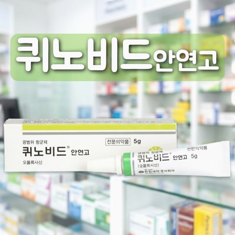 퀴노비드 안연고 효능 결막염 다래끼 사용법 부작용 정리