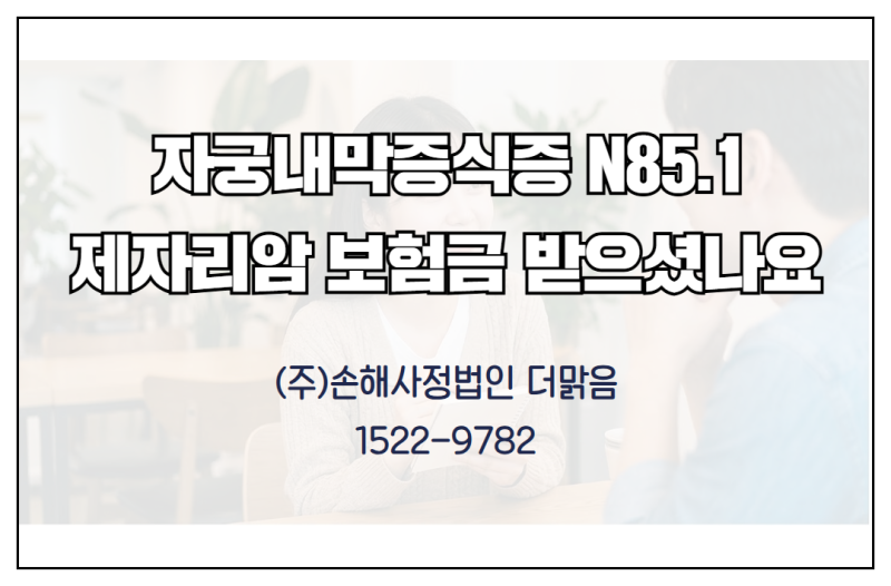 자궁내막증식증 N851 제자리암 진단비 조직검사결과 검토 후 보상 받자
