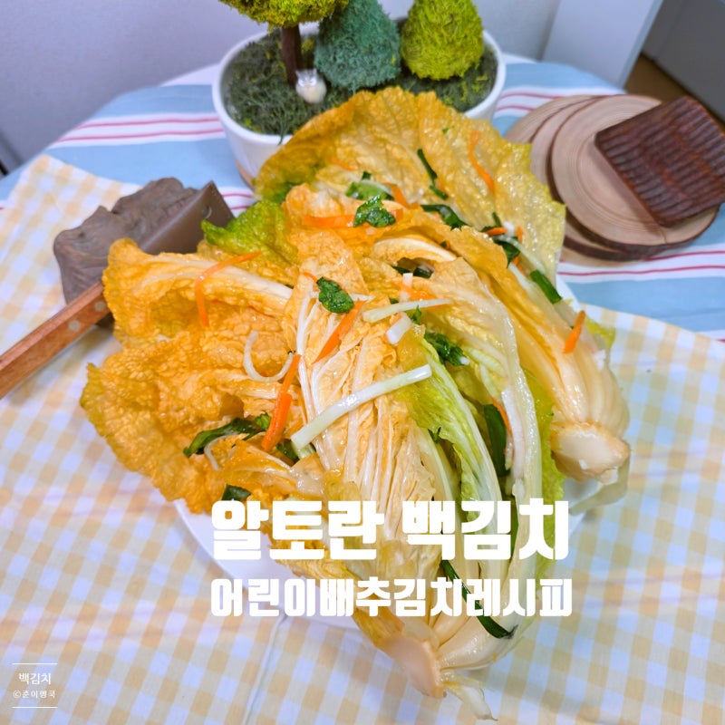 백김치 황금 레시피 알토란 간단 어린이 백김치 담그는 방법