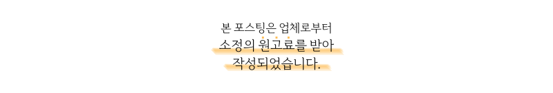 사진 11