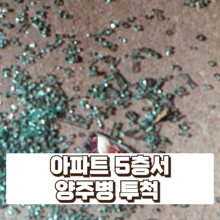  아파트 5층서 보행자 향해 양주병 투척…40대 남성 검거