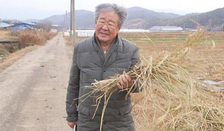  '85세' 최불암 건강 이상설 종결! MBC 다큐멘터리 복귀 확정 (2026년 최신 근황)