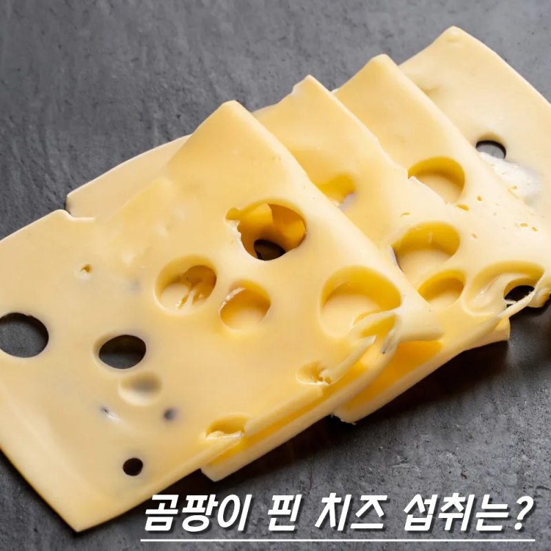 곰팡이 치즈 섭취 가능 여부 궁금증 해결 방법