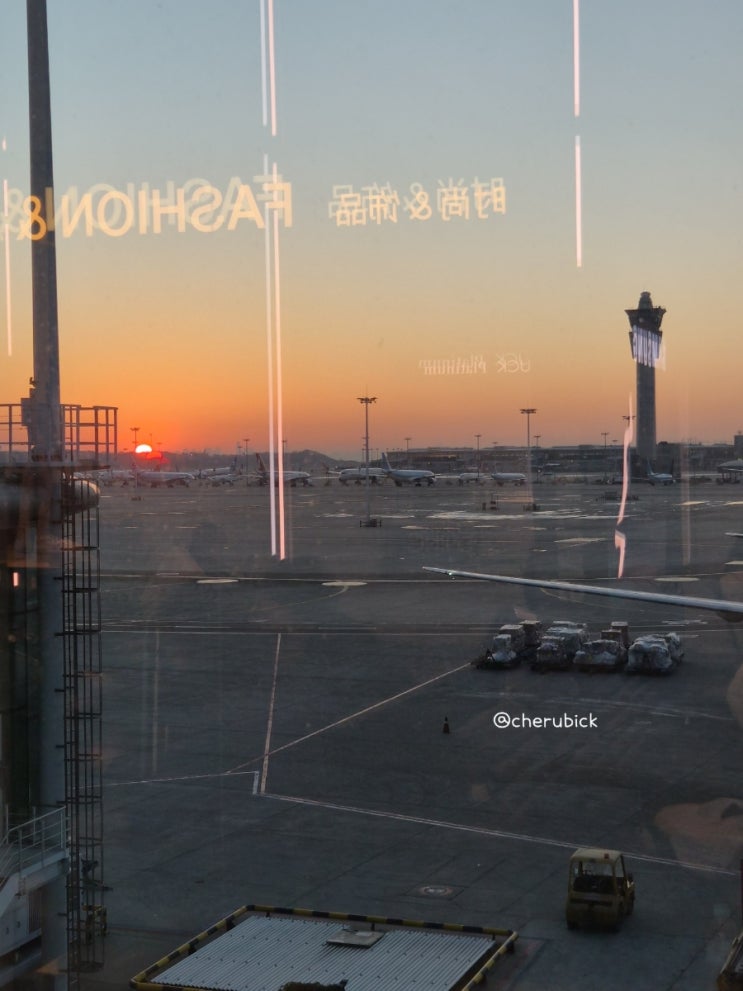  고베 항공권, 고베 직항 대한항공 기내식 KE2171 KE2174 탑승 후기