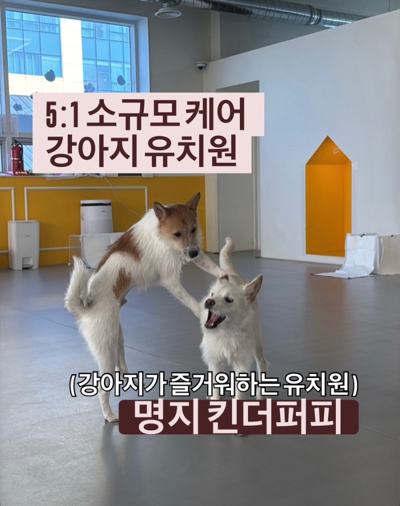 사진 3
