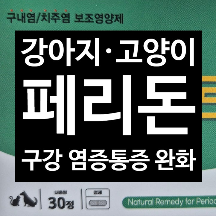 페리돈정 : 반려동물 구내염 치주염 입냄새 구강세균 보조관리, 성분과 특징 _천안·아산 배....
