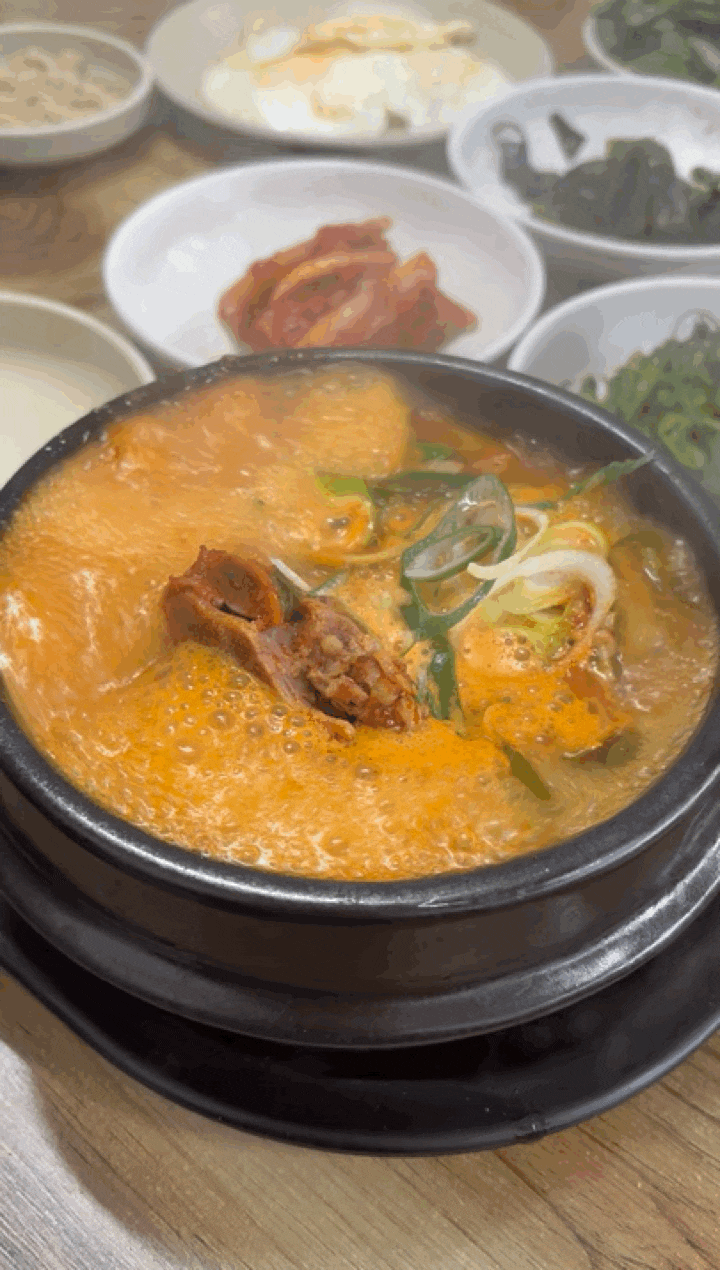  아침식사로 추천하고싶은 가본등뼈해장국