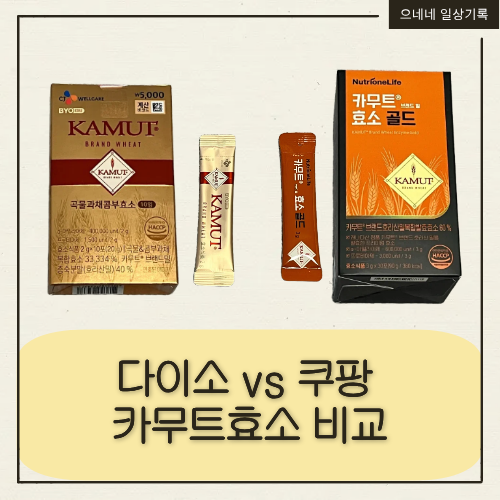 다이소 CJ웰케어 BYO 카무트 효소 vs 쿠팡 뉴트리원라이프 카무트 효소 골드 비교