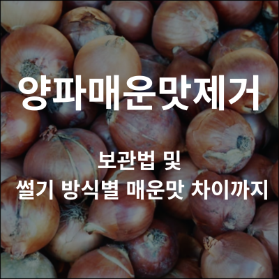 양파매운맛제거 | 보관법 및 썰기 방식별 매운맛 차이까지