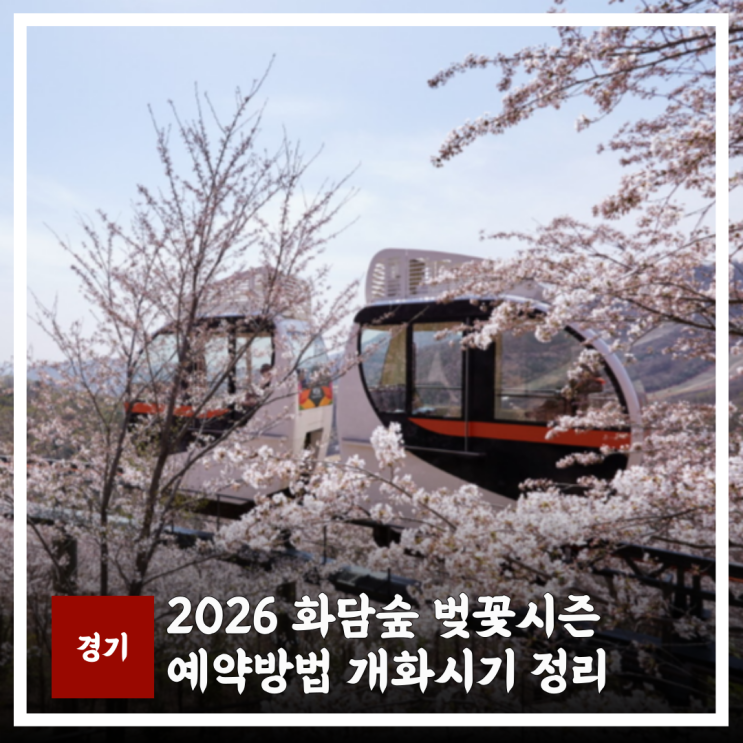  2026 화담숲 벚꽃 예약 방법 개화시기 및 모노레일 봄시즌 주차정보