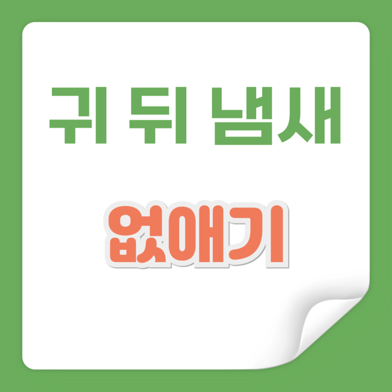귀 뒤 냄새 원인 및 없애는 방법 정리