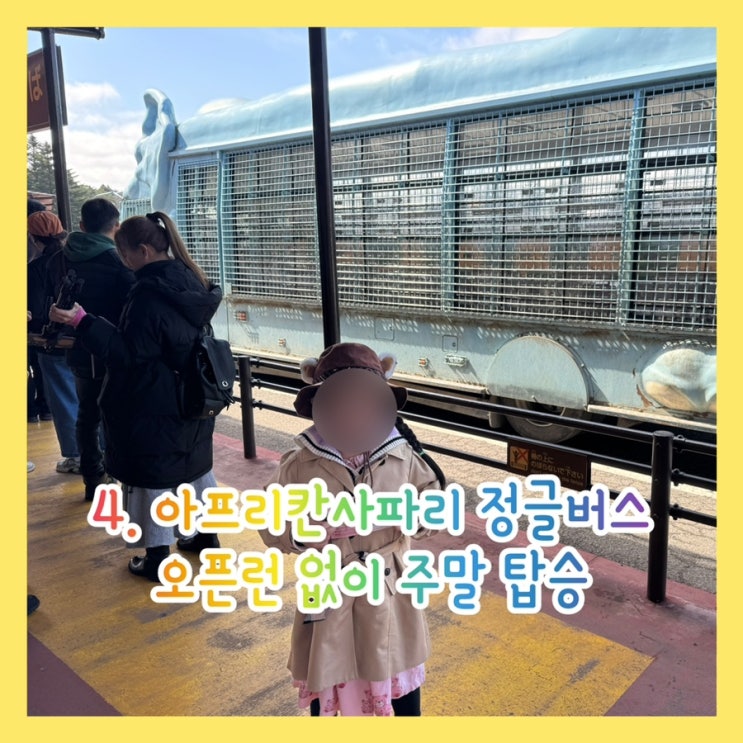 아이와 여행 2탄 | 후쿠오카(4) 유후인 아프리칸 사파리 후기 | 사파리버스 예약 성공 팁