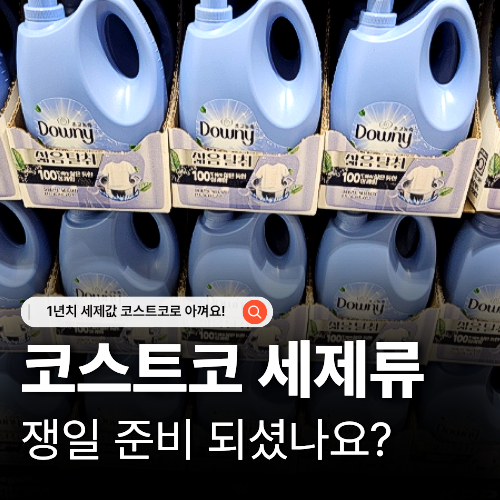  코스트코 세제류 할인 추천템 6가지 가격 총정리