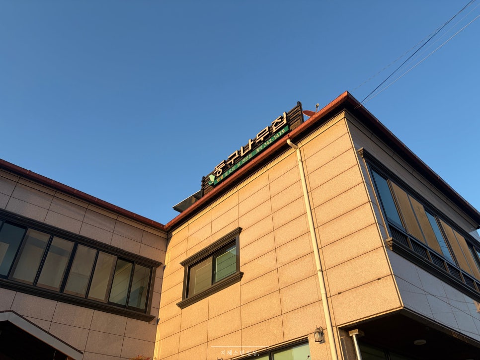 둥구나무집 사진 3