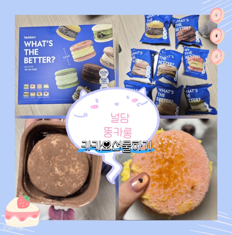  [ 생일 선물 ] 카카오 선물하기로 동생이 받아온 마카롱 ｜ 널담 뚱카롱 사랑 세트 8봉입