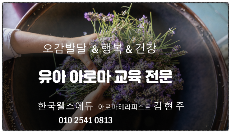 어린이집 유치원 아로마테라피 전문교육기관 한국웰스에듀