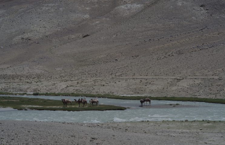 Khargush Pass_  Гузаргоҳи Харгӯш_Wakhan corridor To Core Pamir_카르구쉬 고개를 넘어 와칸회랑에서 파미르중심으로 간다