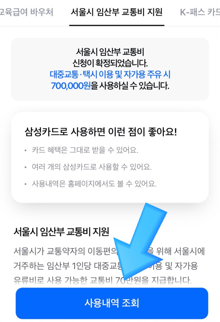  서울시 임산부 교통비 지원 신청 방법 및 사용 후기