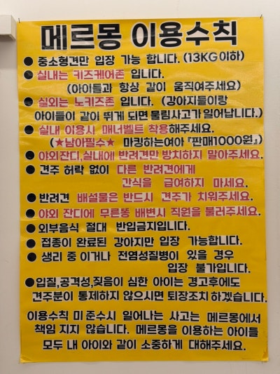 사진 7