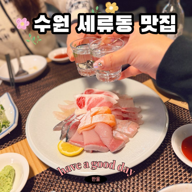 수원 세류동 맛집 봄 제철회 새벽