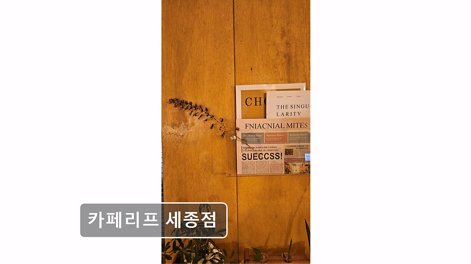 카페리프 세종점 사진 2