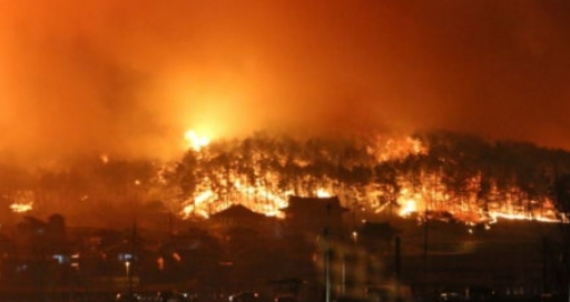 산불 나는 꿈 해몽  총정리 (산불 꿈, 산에 불나는 꿈, 산불 보는 꿈 의미)