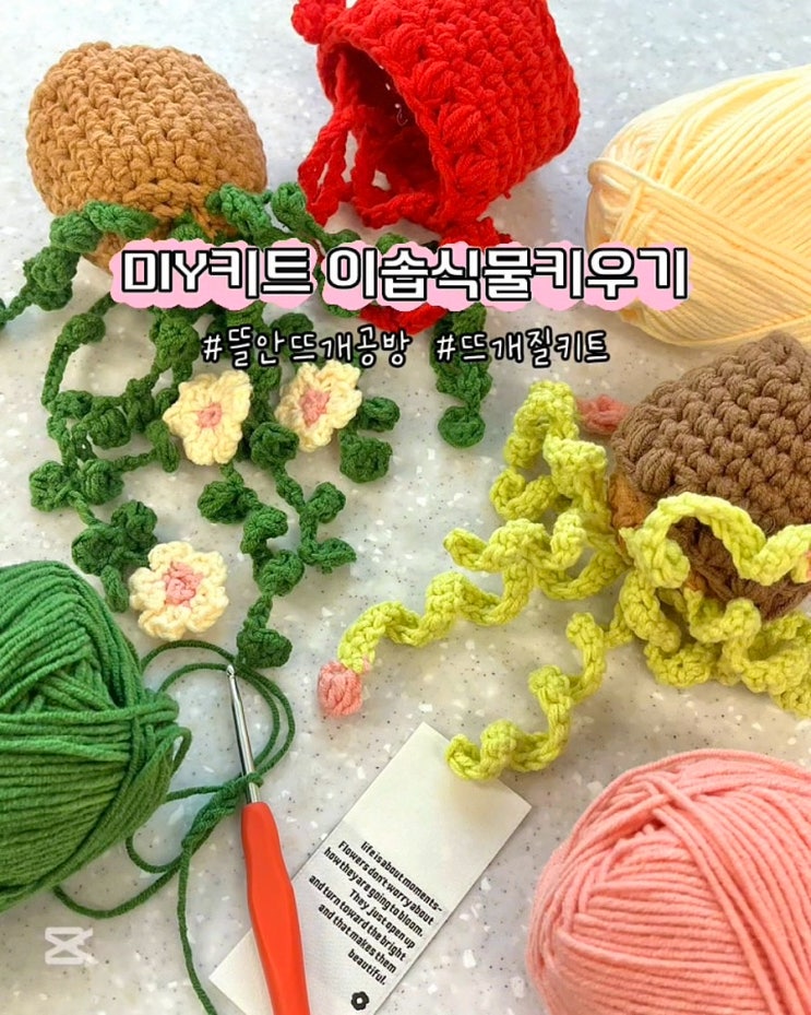  초보 뜨개질 키트 꽃 화분 DIY 만들기 뜰안뜨개공방 이솝식물키우기