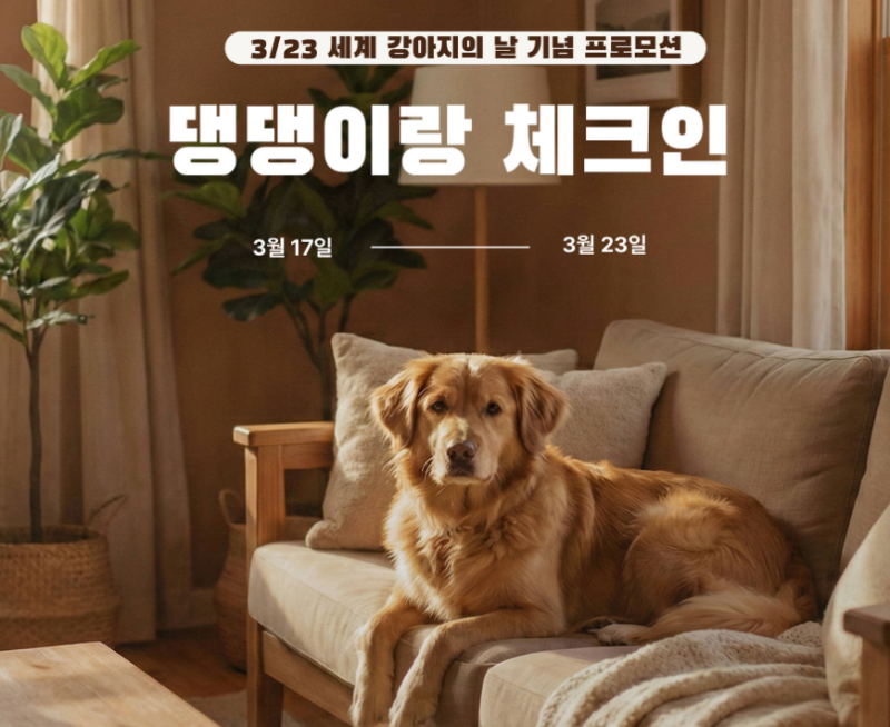 사진 5