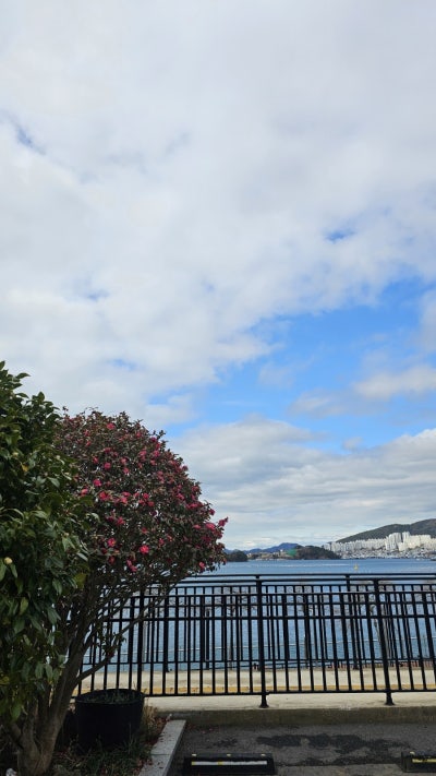 사진 3