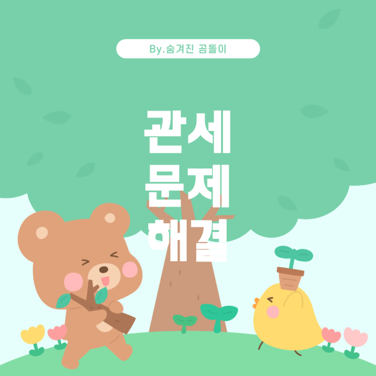  해외 구매 시 관세 처리와 문제 해결 방법