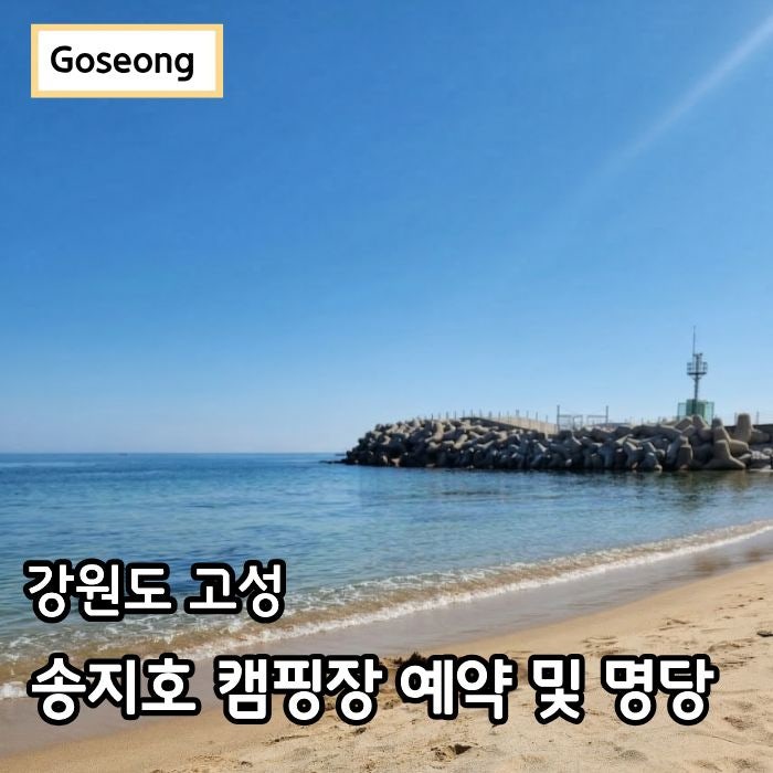 송지호 오토캠핑장 예약 및 명당 추천 강원도 고성여행