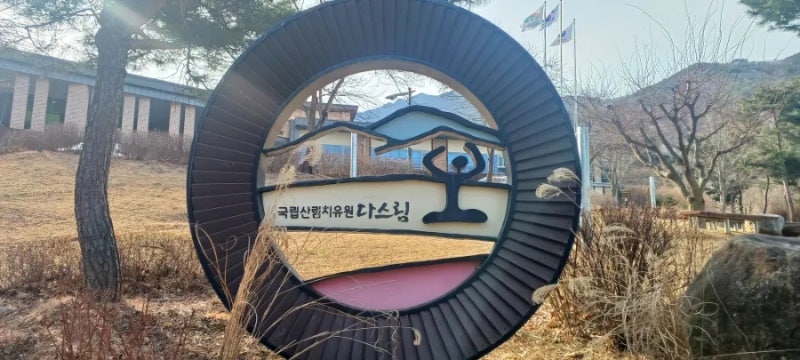 국립산림치유원 3박4일 지내면서 프로그램체험해보기