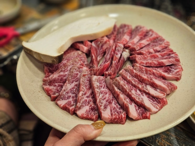  정선 고한 킹콩식당 육즙 가득한 고기 맛에 반한 이유 ft 한우 한돈