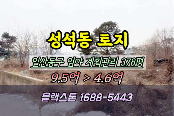  성석동토지 경매 설문IC 인근 임야 300평대 2025타경57