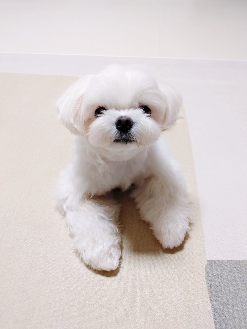 사진 9