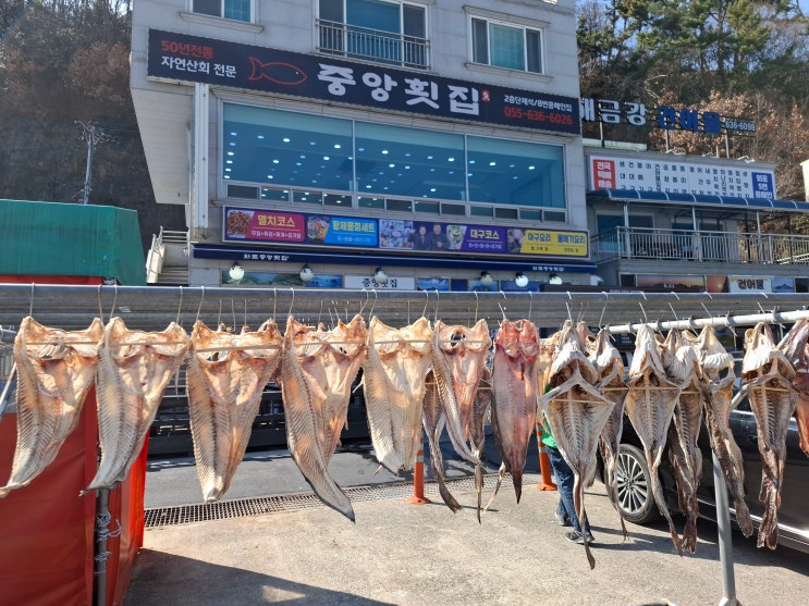  [경남 거제] 거제 외포항 - 국내 제일의 대구 집산지
