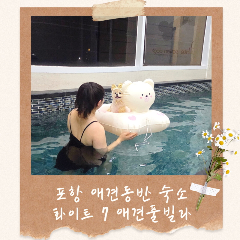 사진 8