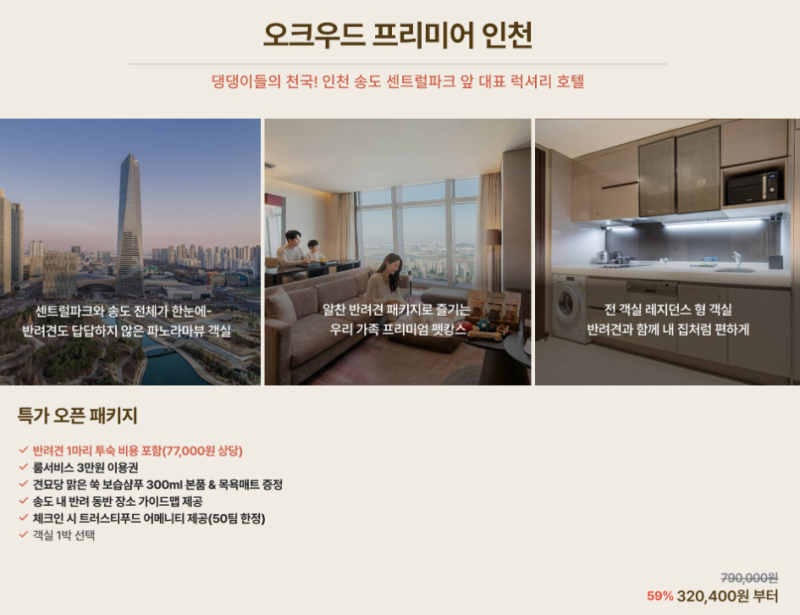 사진 6