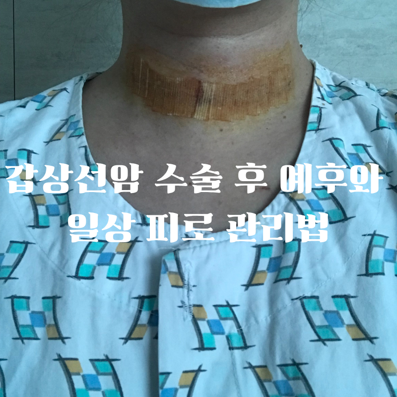 갑상선암 수술 직접 경험 후기