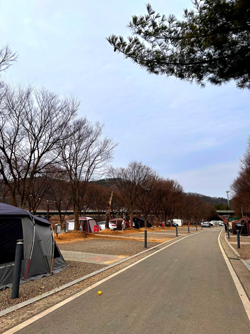 [경기도연천] 한탄강관광지 오토캠핑장 – 수도권에서 즐기는 자연 속 힐링 캠핑
