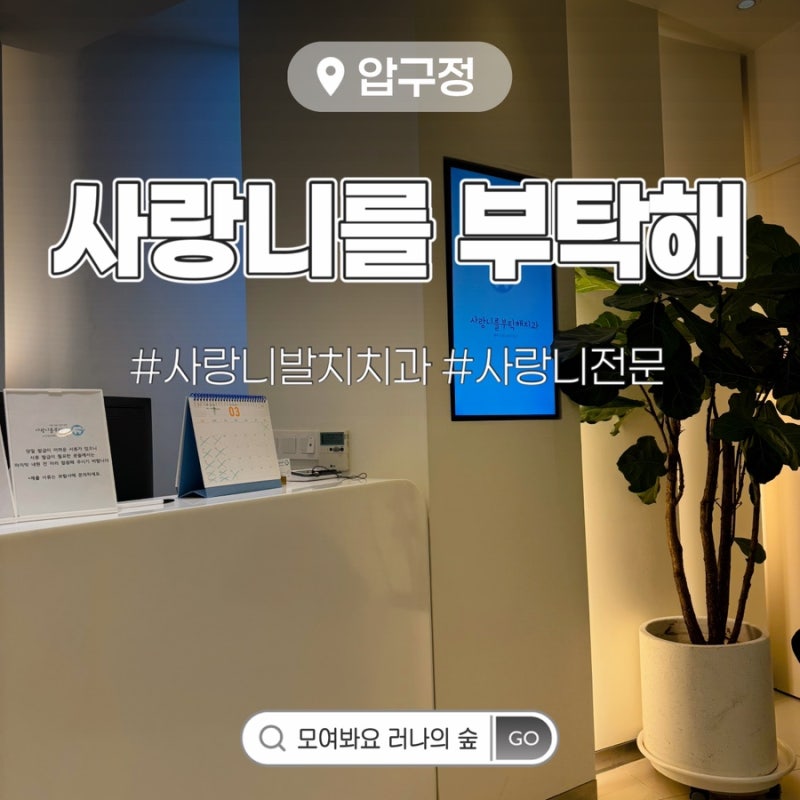 매복사랑니 발치 후기 사랑니 발치 꿀팁 | 압구정 사랑니를부탁해 후기