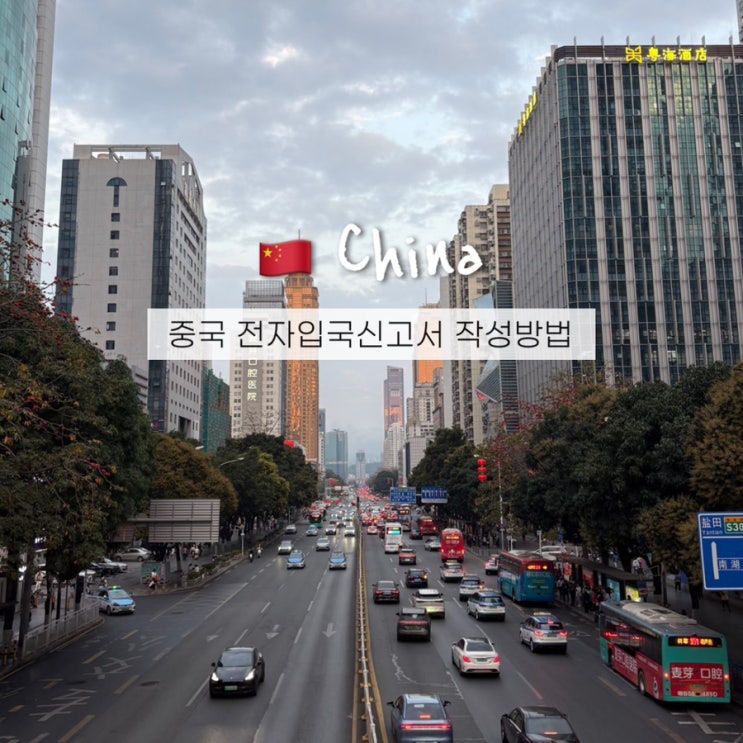  중국 전자입국신고서 QR 사이트 온라인 모바일 동반자 작성방법