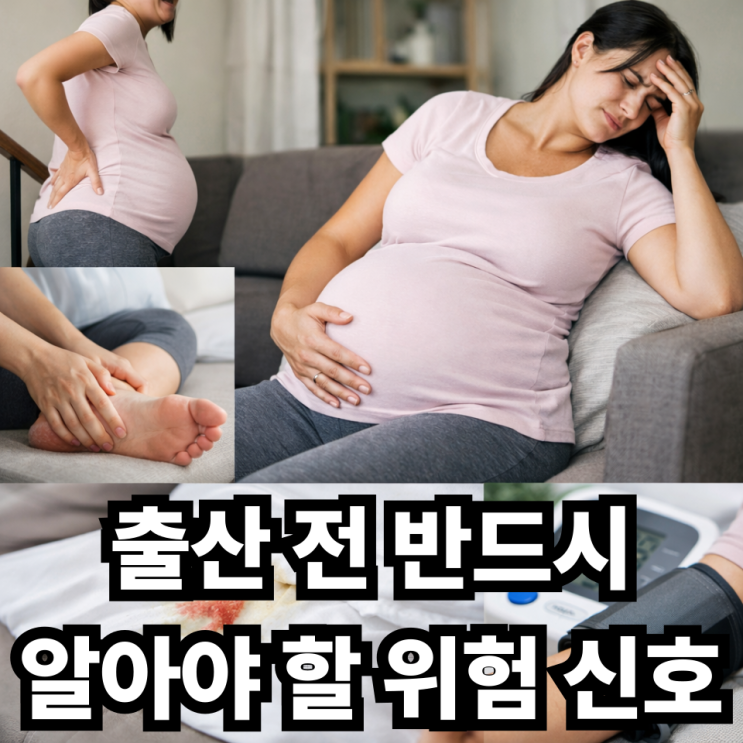  임신 말기 임산부가 조심해야 할 증상, 출산 전 꼭 알아야 할 위험 신호