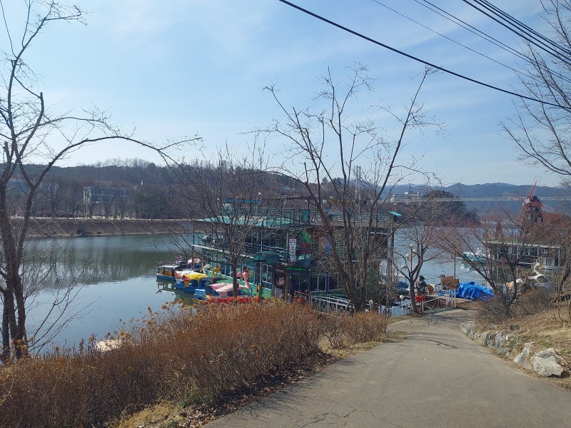 사진 7